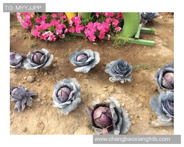 足球明星搞笑跑姿大集合让你捧腹大笑的瞬间回顾 足球明星搞笑跑姿大集合让你捧腹大笑的瞬间回顾