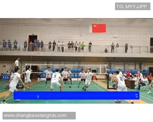 排球专题：聚焦武汉排球队的配合