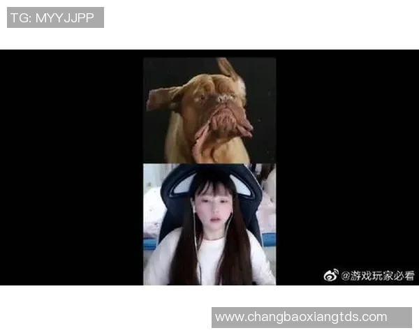 和平精英热点：解读IG的反击