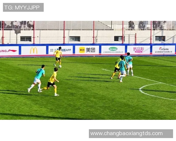 最新足球状态TOP10：武汉足球队领跑